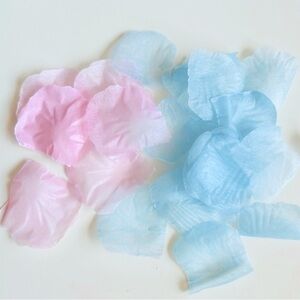 Light Pink and Blue Flower Petals 🌸